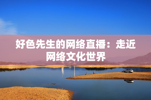 好色先生的网络直播：走近网络文化世界