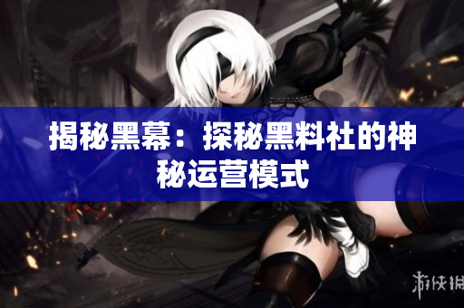 揭秘黑幕：探秘黑料社的神秘运营模式