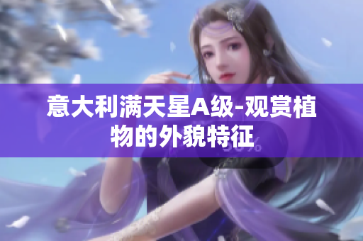 意大利满天星A级-观赏植物的外貌特征