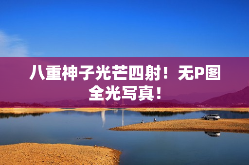 八重神子光芒四射！无P图全光写真！