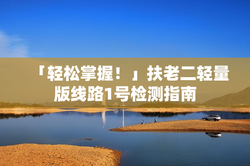「轻松掌握！」扶老二轻量版线路1号检测指南