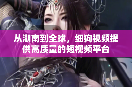 从湖南到全球，细狗视频提供高质量的短视频平台