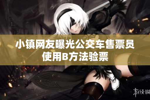 小镇网友曝光公交车售票员使用B方法验票