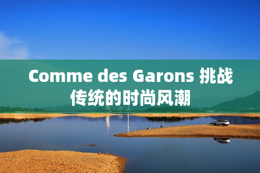 Comme des Garons 挑战传统的时尚风潮