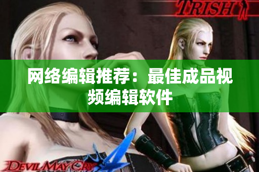 网络编辑推荐：最佳成品视频编辑软件