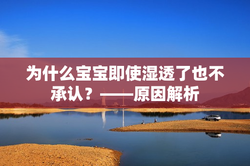 为什么宝宝即使湿透了也不承认？——原因解析