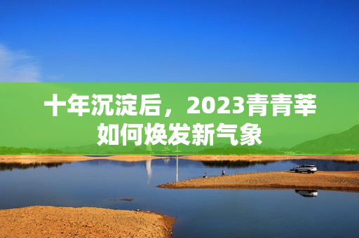 十年沉淀后，2023青青莘如何焕发新气象
