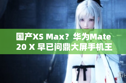 国产XS Max？华为Mate 20 X 早已问鼎大屏手机王者！