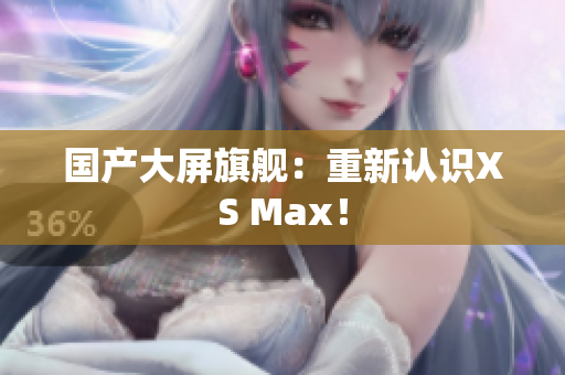 国产大屏旗舰：重新认识XS Max！