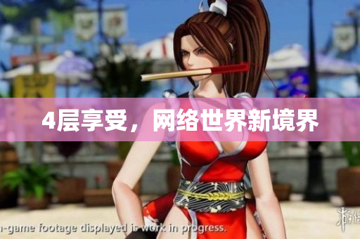 4层享受，网络世界新境界