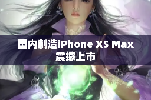国内制造iPhone XS Max震撼上市