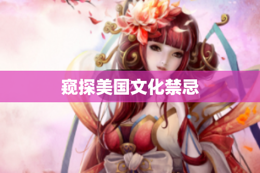 窥探美国文化禁忌