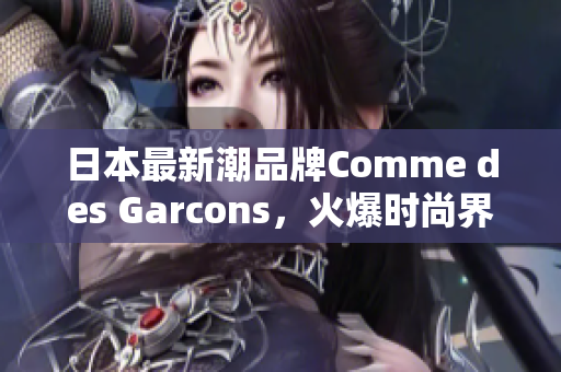 日本最新潮品牌Comme des Garcons，火爆时尚界