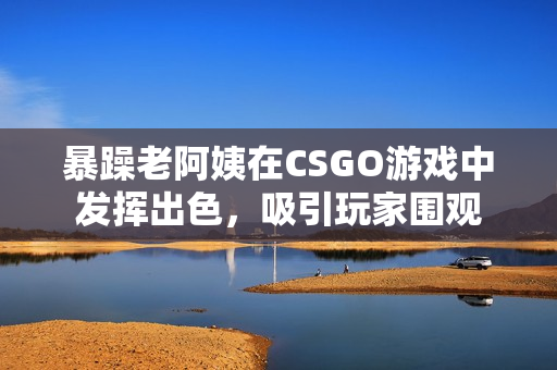 暴躁老阿姨在CSGO游戏中发挥出色，吸引玩家围观