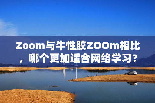 Zoom与牛性胶ZOOm相比，哪个更加适合网络学习？
