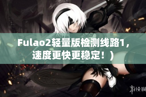Fulao2轻量版检测线路1，速度更快更稳定！)