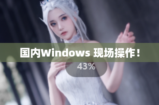 国内Windows 现场操作！