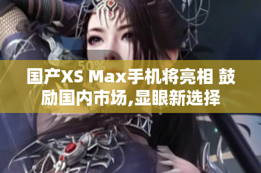 国产XS Max手机将亮相 鼓励国内市场,显眼新选择