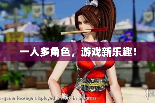 一人多角色，游戏新乐趣！