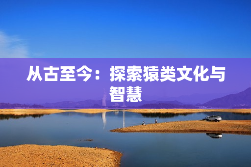从古至今：探索猿类文化与智慧