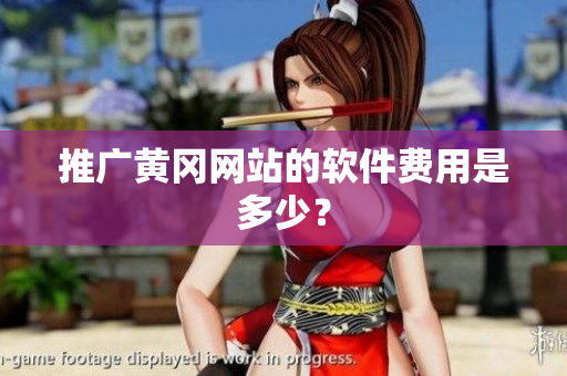 推广黄冈网站的软件费用是多少？