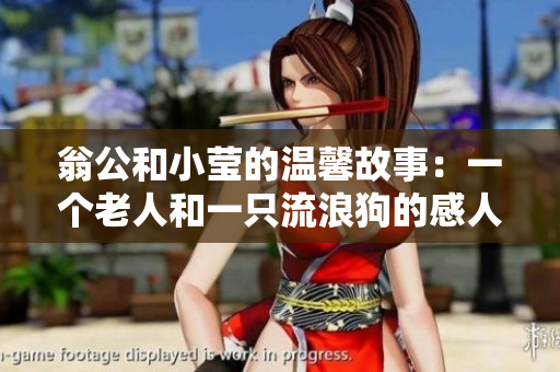 翁公和小莹的温馨故事：一个老人和一只流浪狗的感人互动