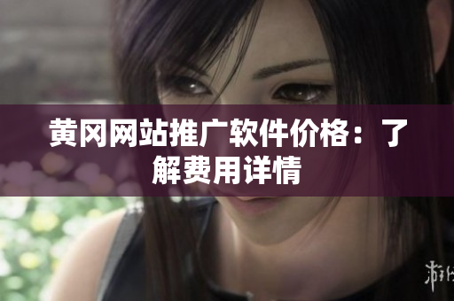 黄冈网站推广软件价格：了解费用详情
