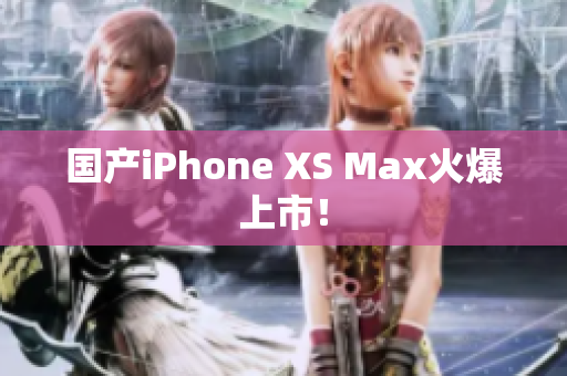 国产iPhone XS Max火爆上市！