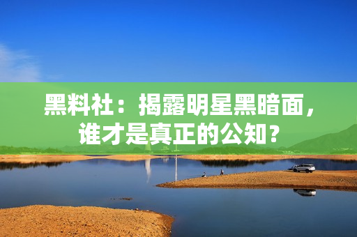 黑料社：揭露明星黑暗面，谁才是真正的公知？