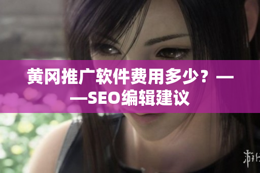 黄冈推广软件费用多少？——SEO编辑建议