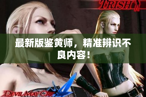 最新版鉴黄师，精准辨识不良内容！