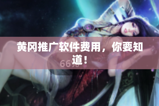 黄冈推广软件费用，你要知道！