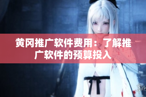 黄冈推广软件费用：了解推广软件的预算投入