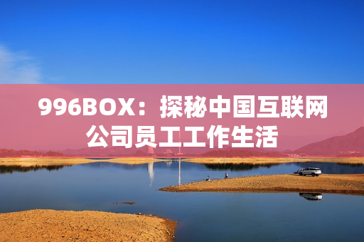 996BOX：探秘中国互联网公司员工工作生活