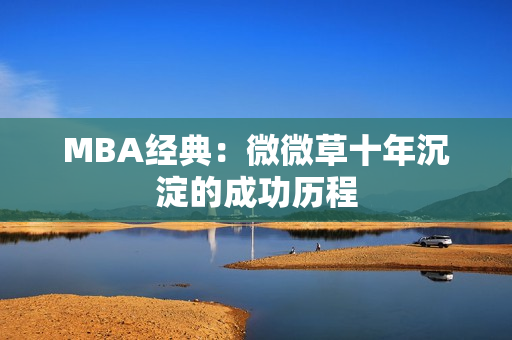 MBA经典：微微草十年沉淀的成功历程