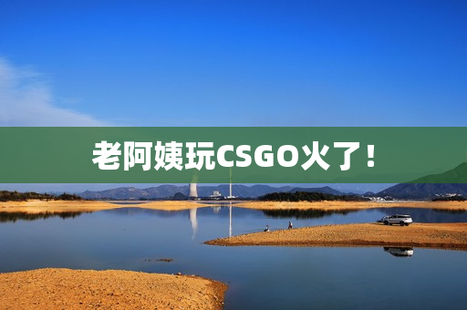 老阿姨玩CSGO火了！