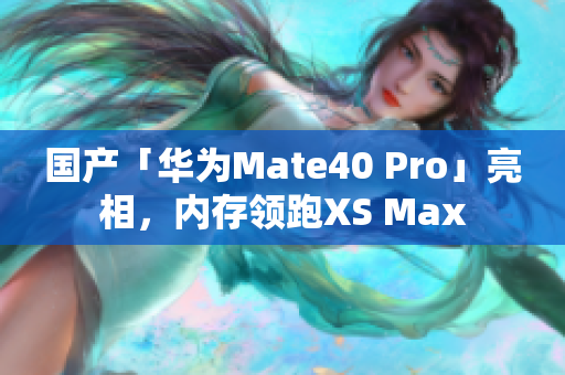 国产「华为Mate40 Pro」亮相，内存领跑XS Max