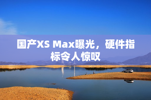 国产XS Max曝光，硬件指标令人惊叹
