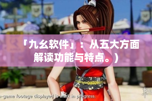 「九幺软件」：从五大方面解读功能与特点。)