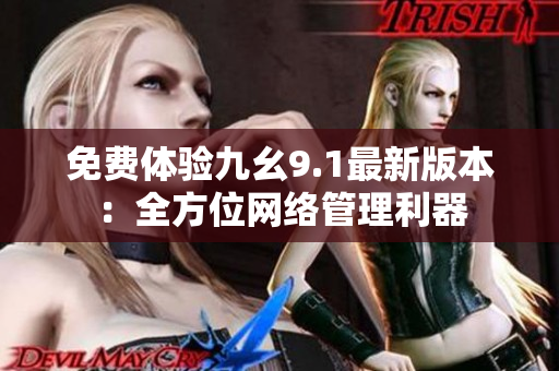免费体验九幺9.1最新版本：全方位网络管理利器
