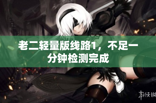 老二轻量版线路1，不足一分钟检测完成