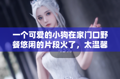 一个可爱的小狗在家门口野餐悠闲的片段火了，太温馨！