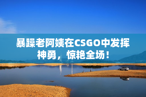 暴躁老阿姨在CSGO中发挥神勇，惊艳全场！