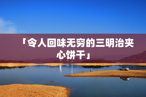 「令人回味无穷的三明治夹心饼干」