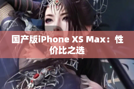 国产版iPhone XS Max：性价比之选