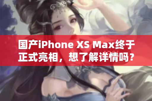 国产iPhone XS Max终于正式亮相，想了解详情吗？