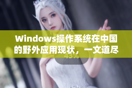 Windows操作系统在中国的野外应用现状，一文道尽