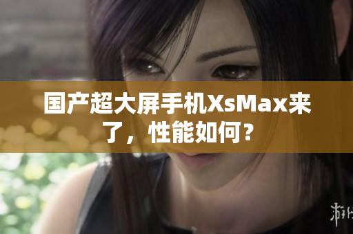 国产超大屏手机XsMax来了，性能如何？