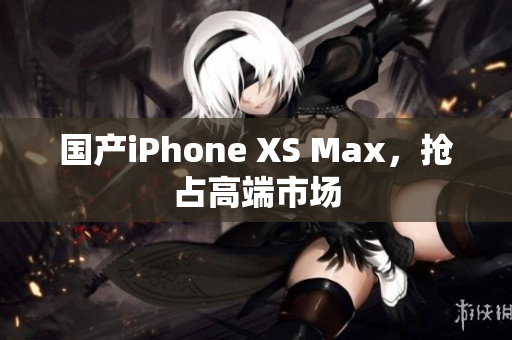 国产iPhone XS Max，抢占高端市场