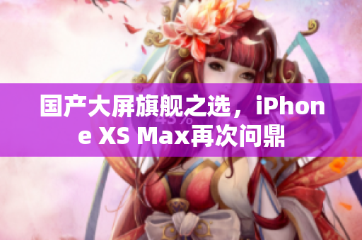 国产大屏旗舰之选，iPhone XS Max再次问鼎
